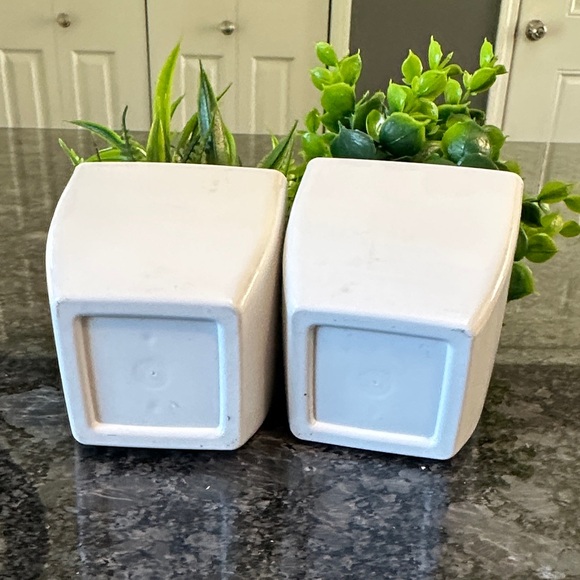 Artificial Plant Set in White Pots with Fake Tiny Rocks 6.5" x 4.5" Set of 2 - Picture 6 of 7